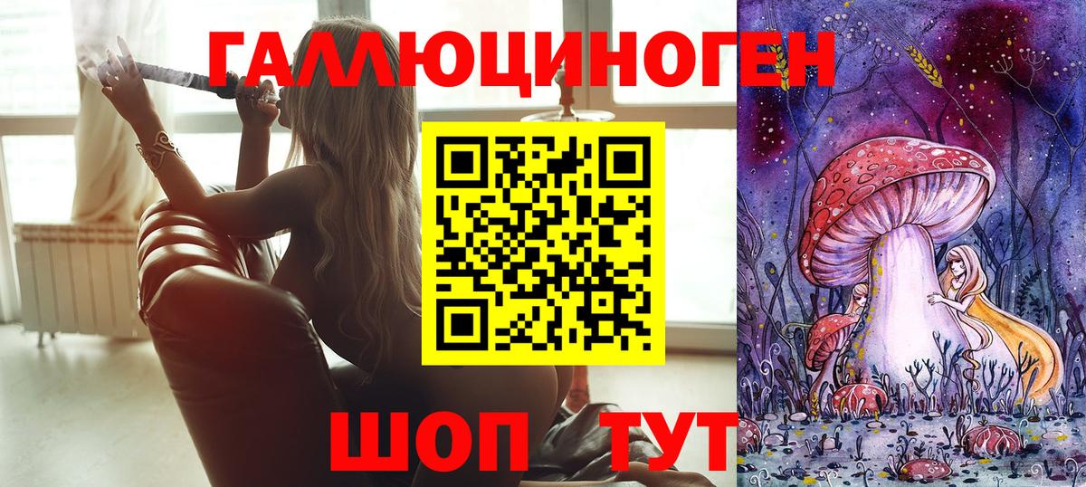 Галлюциногенные грибы мухоморы Новоалександровск